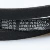 WP21352320 - Belt - Image 2