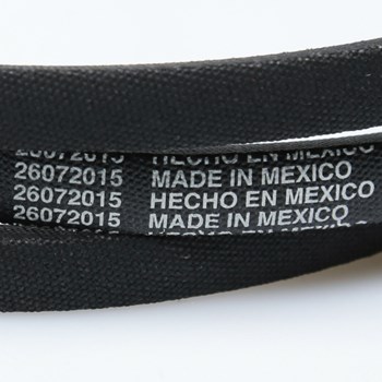 WP21352320 - Belt - Image 2
