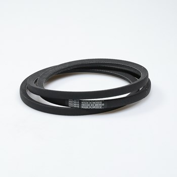 WP21352320 - Belt